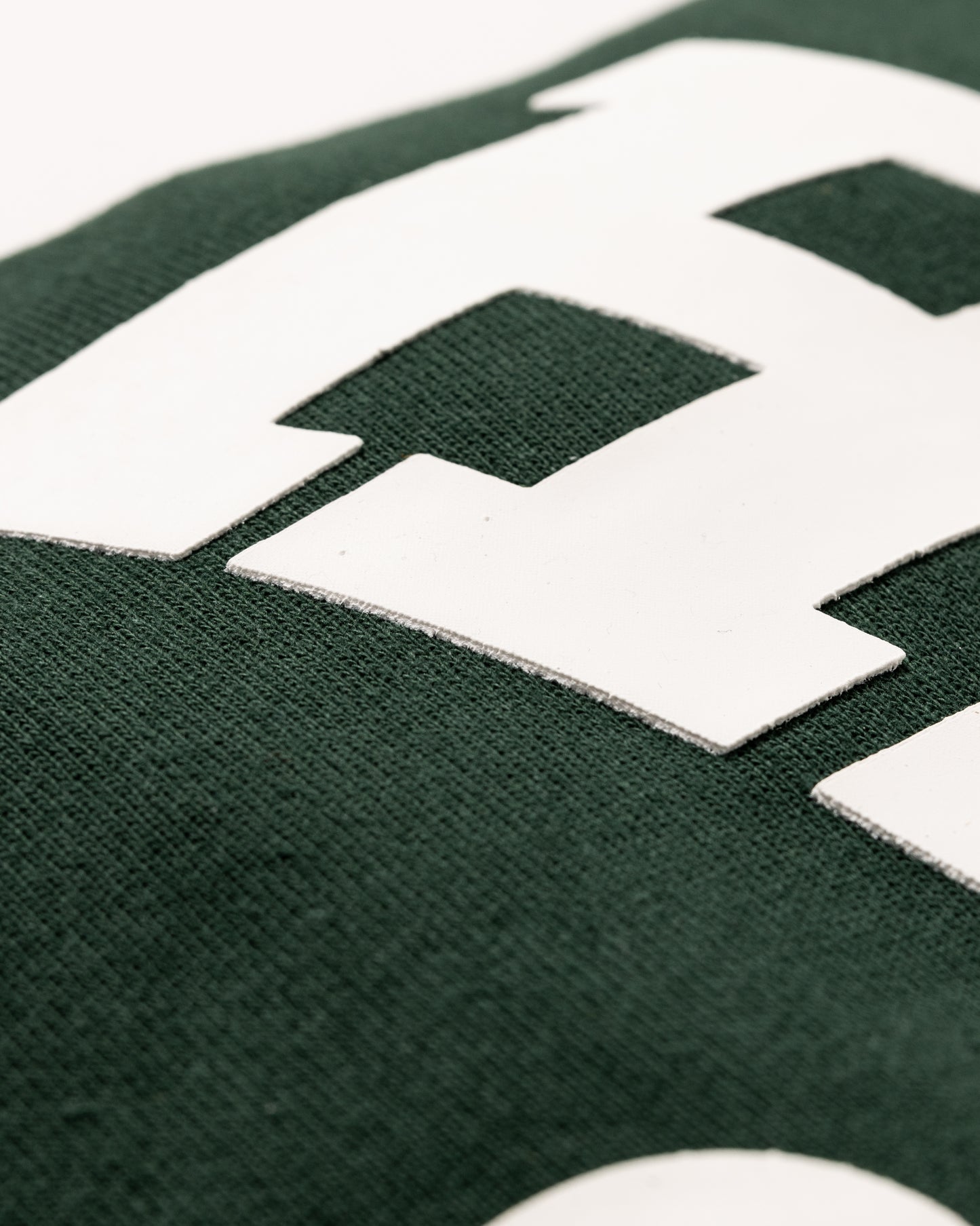HAITI x Champion Crew Neck Sweater (Forest Green)
